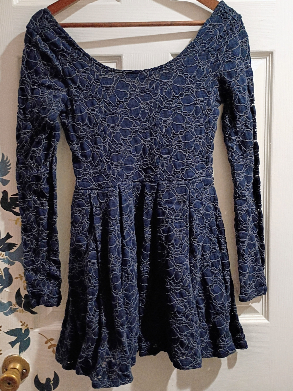 Free People Navy Floral Lace Long-Sleeve Skater Dress